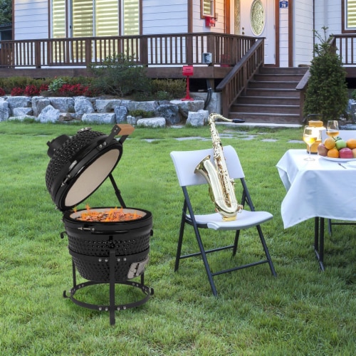 Ceramic charcoal bbq hotsell