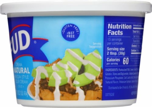 FUD® Crema Natural Mexican Style Sour Cream Perspective: back
