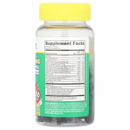 Kids Smart® Vita Gummies Picky Eaters' Multi-Vitamin + 4 Veggies Ages 3+ Citrus Berry Perspective: back