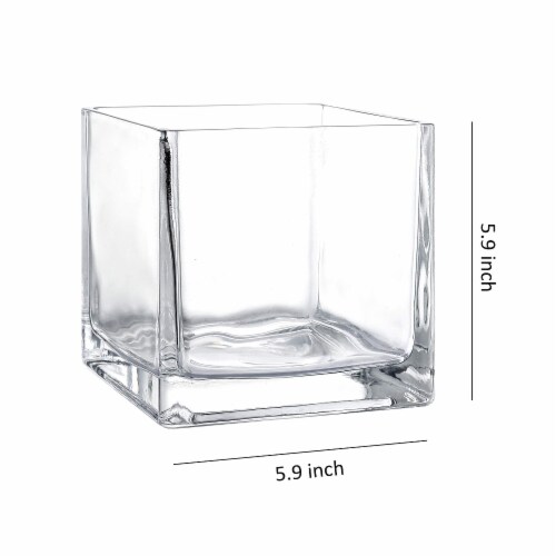 WHOLE HOUSEWARES 4 Inch Square Glass Cube Vase Perspective: back