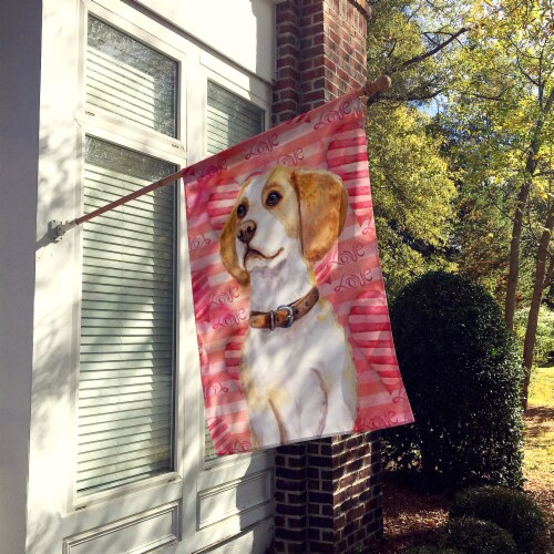 Carolines Treasures BB9773CHF Beagle Love House Flag, Red Perspective: back