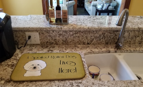 Carolines Treasures BB1465DDM Bichon Frise Spoiled Dog Lives Here Dish Drying M Perspective: back