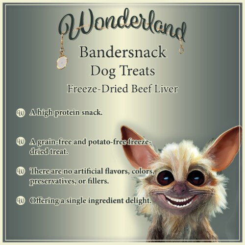 Wonderland's Bandersnack Freeze-Dried Beef Liver for Dogs 3 oz Perspective: back