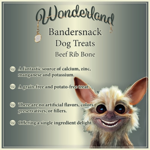 Wonderland's Bandersnack Beef Rib Bone for Dogs 1 Count Perspective: back