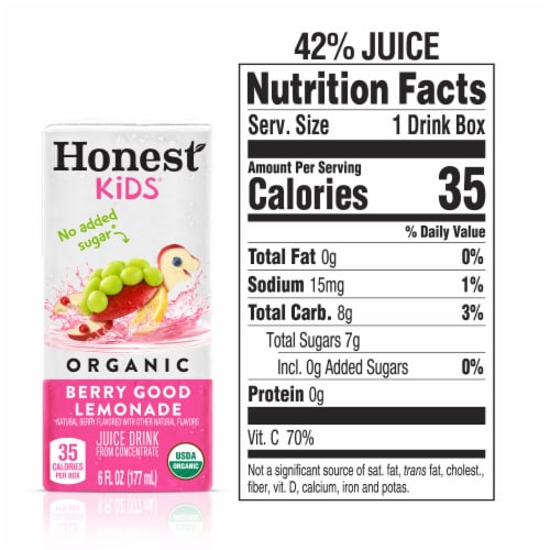 Honest Kids Berry Berry Good Lemonade Organic Fruit Juice Perspective: back