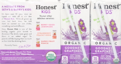 Honest Kids® Organic Goodness Grapeness® Juice Cartons Perspective: back