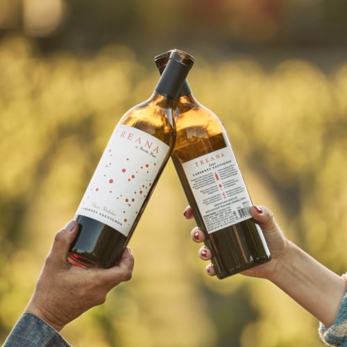 Treana Cabernet Sauvignon California Red Wine Perspective: back