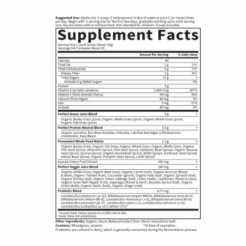 Garden of Life Perfect Food Super Greens, Superfoods, Alfalfa, Wheat Grass, Probiotics Powder Perspective: back