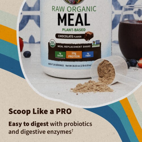 Garden of Life Raw Organic Meal Replacement All-in-One Shake 20g Vegan Protein Chocolate Powder Perspective: back