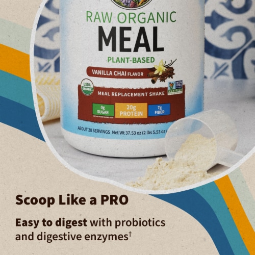 Garden of Life Raw Organic Meal Replacement All-in-One Shake 20g Vegan Protein Powder Perspective: back