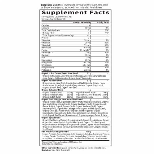 Garden of Life® Raw Organic Perfect Food® Alkalizer & Detoxifier Dietary Lemon & Ginger Supplement Perspective: back