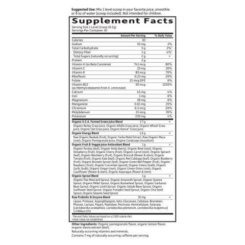 Garden of Life® Perfect Food® Raw Organic Energizer Juiced Green Superfood Powder Perspective: back