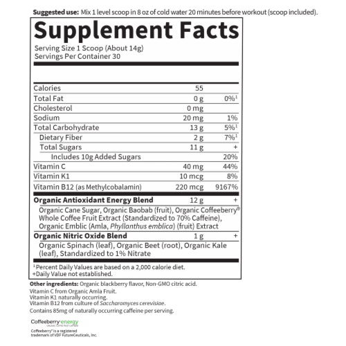 Garden of Life® Sport Blackberry Flavor Organic Energy + Focus Powder Perspective: back