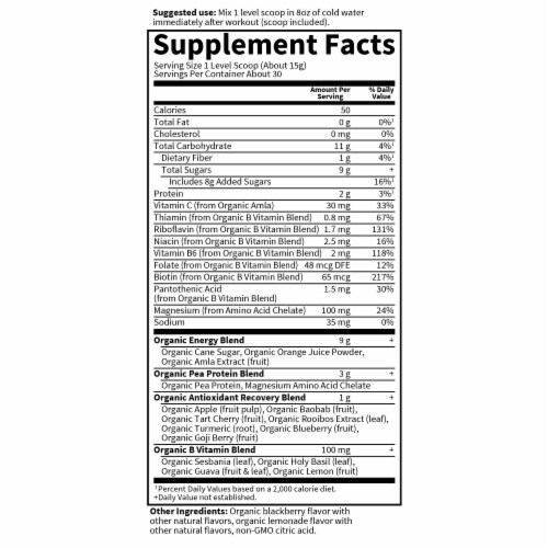 Garden of Life® Sport Organic Blackberry Lemonade Recovery Powder Perspective: back