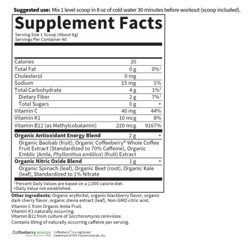 Garden of Life® Sport Organic Blackberry Cherry Energy & Focus Whole Food Dietary Supplement Perspective: back