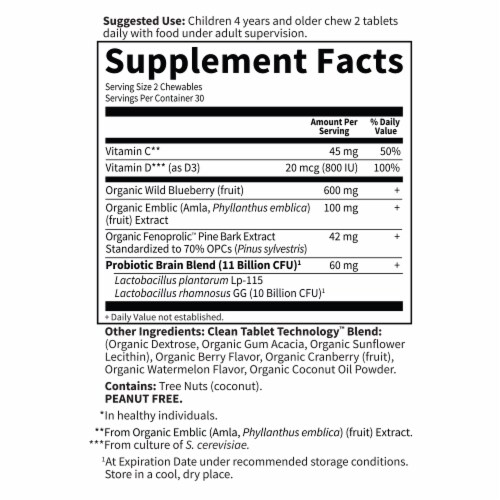Garden of Life® Dr. Formulated Brain Health Attention & Focus for Kids Chewables Perspective: back