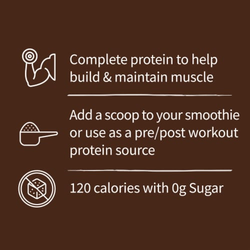 Garden of Life Organic Protein Shake to Help Build & Maintain Muscle 20g Protein Chocolate Powder Perspective: back