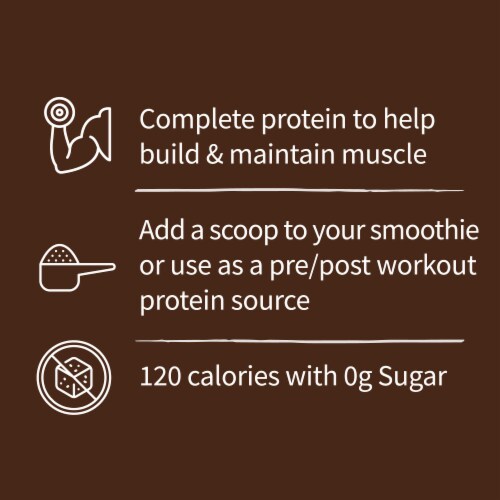 Garden of Life® Organic Chocolate Plant-Based Protein Shake Powder Perspective: back