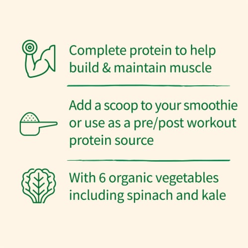 Garden of Life Organic Protein & Greens 20g Vegan Protein + 6 Veggies Chocolate Powder Perspective: back