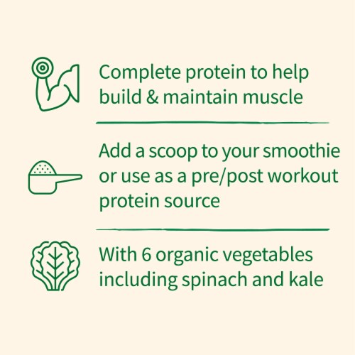 Garden of Life Organic Protein & Greens 20g Vegan Protein + 6 Veggies Chocolate Powder Perspective: back