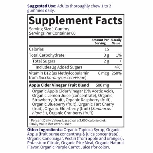 Garden of Life Organics Apple Cider Vinegar Vegan Gummies Original Perspective: back
