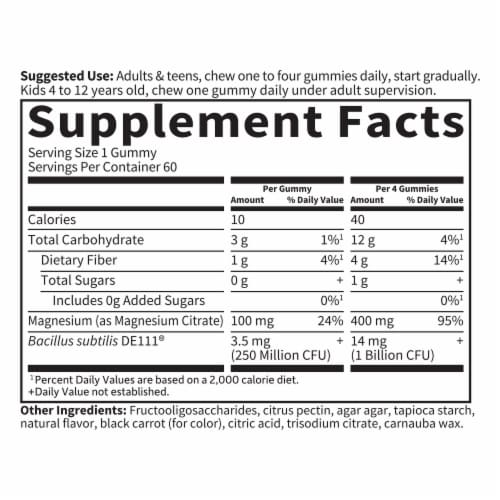 Garden of Life® Dr. Formulated Magnesium with Pre & Probiotics Raspberry Gummies Perspective: back