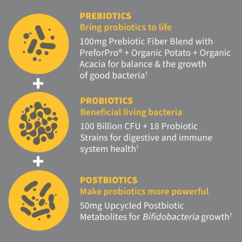 Garden of Life® Dr. Formulated Probiotics 100 Billion Pre + Pro + Postbiotics Capsules Perspective: back