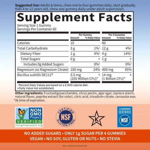 Garden of Life Dr. Formulated Magnesium with Prebiotics & Probiotics, Orange Creme Gummies Perspective: back