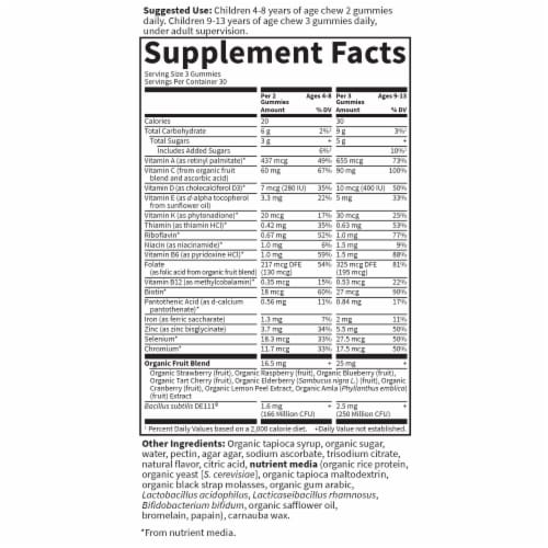 Garden of Life® Kids Multivitamin + Probiotics Gummies for Digestive Gut Health Perspective: back
