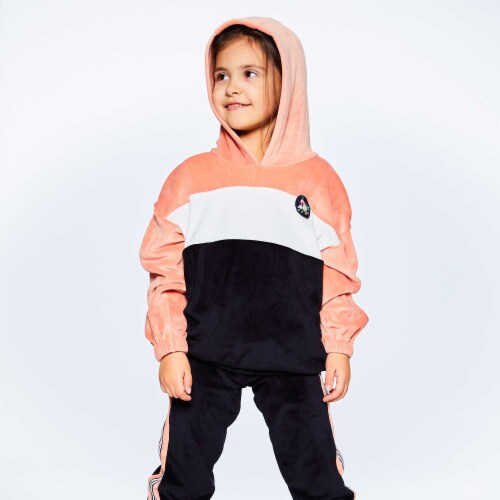 Colorblock Velvet Hooded Top Perspective: back