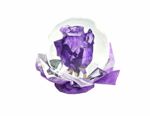 Mother's Day Rose Globe Perspective: back