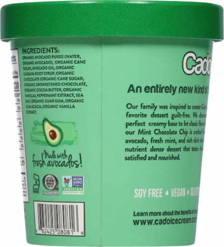 Cado Dairy Free Mint Chocolate Chip Frozen Dessert Pint Perspective: back