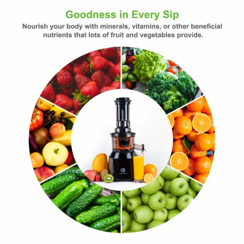 Ventray juicer cheap