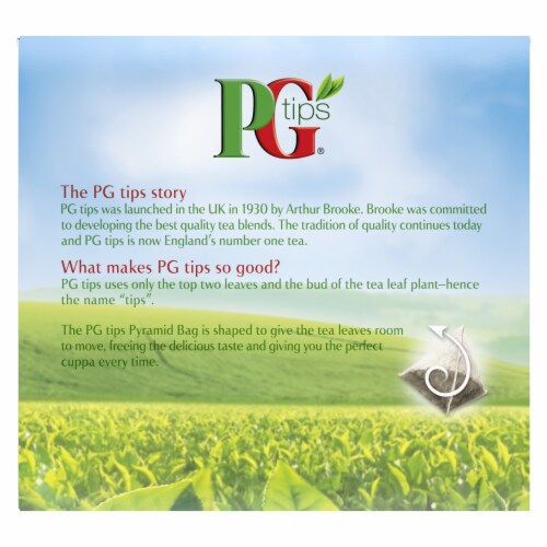 PG Tips® Black Tea Pyramid Tea Bags Perspective: back