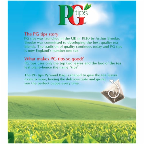 PG Tips® Black Tea Pyramid Tea Bags, 40 ct - Kroger