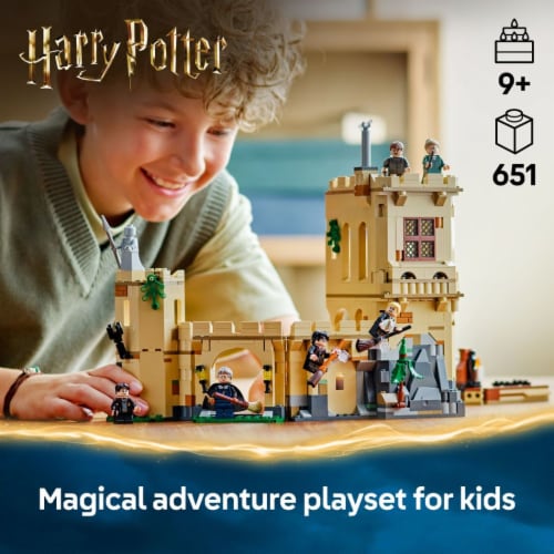 LEGO Harry Potter Hogwarts Castle: Flying Lessons Building Toy 76447 Perspective: back