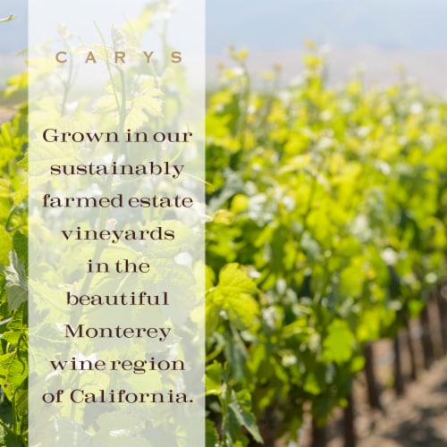 Carys Pinot Gris Perspective: back