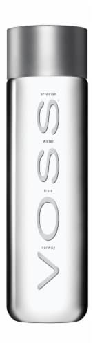 Voss® Artisian Bottled Water Perspective: back