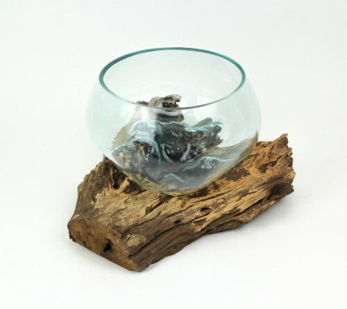 Blown Molten Glass Decorative Bowl / Terrarium On Teak Driftwood Base Perspective: back