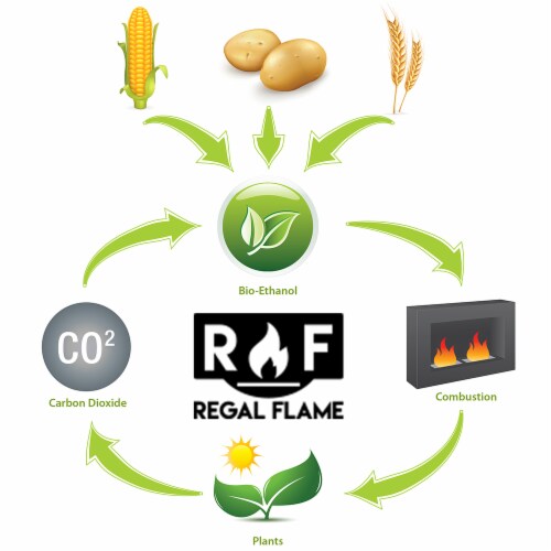 Regal Flame Indoor Outdoor Premium Ventless Bio Ethanol Fireplace Fuel - 48 Quart Perspective: back