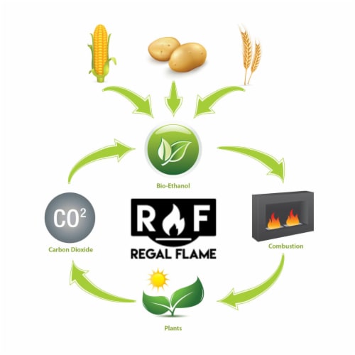 Regal Flame Prime Ventless Bio Ethanol Fireplace Fuel - 48 Quarts Perspective: back