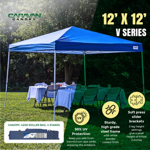 Caravan Canopy 12ft x 12ft V-Series 2 Blue Perspective: back