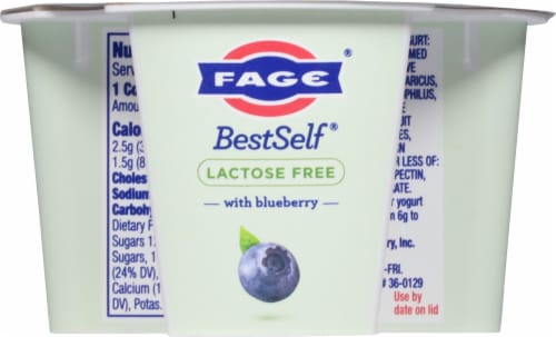 FAGE® BestSelf® Lactose Free With Blueberry Perspective: back