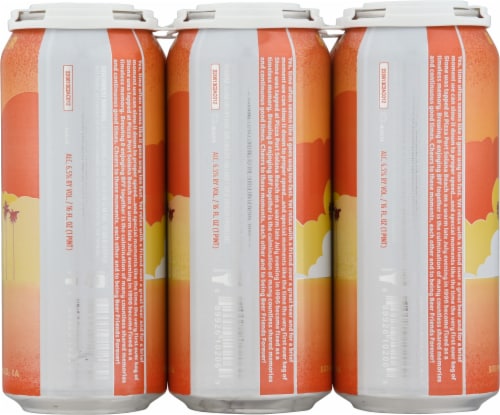 Pizza Port Brewing Co. BFF India Pale Ale Perspective: back