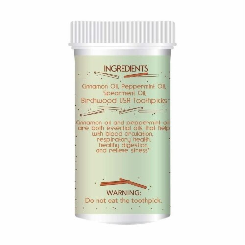 Quit Picks Cinnamint Toothpicks 300Ct Fresh Breath Quit Smoking Aid Perspective: back