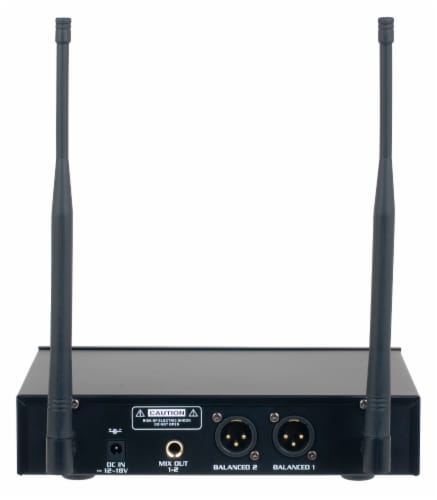 Dual Channel Digital Wireless Handheld/Headset/Instrument system Perspective: back