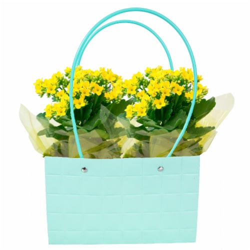 Mother's Day Fresh Blooming Plant in Purse Container Perspective: back