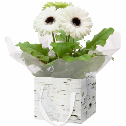 White Blooming Flowers in Birch Gift Box Perspective: back