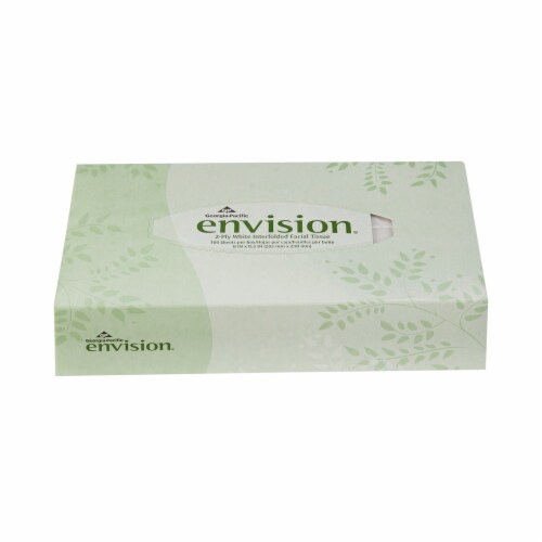 Envision 2-Ply Facial Tissue Flat Box 100 Count, 1 Flat Box Perspective: back