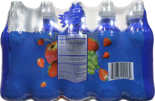 Fruit Shoot Wild Berry Fruit Drink Perspective: back
